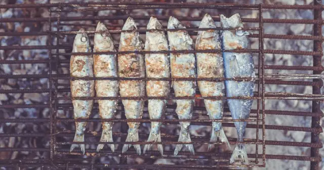 十数店舗の飲食法人が黒字の焼き魚専門店を個人へ譲渡。掲載1ヶ月足らずで複数の打診
